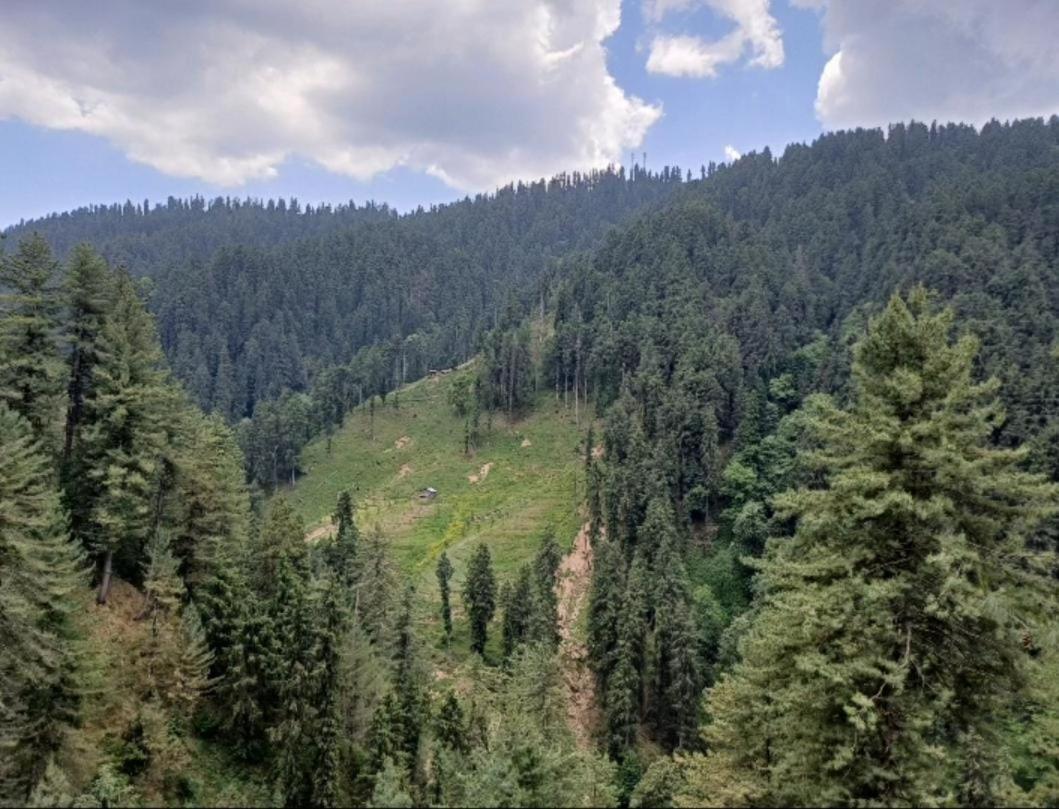 The Nature Dreams I Vacations I Conference I Mice I Family Events I Open Air Terrace I Sky Bonfire I Kufri By Exotic Stays Shimla Eksteriør bilde
