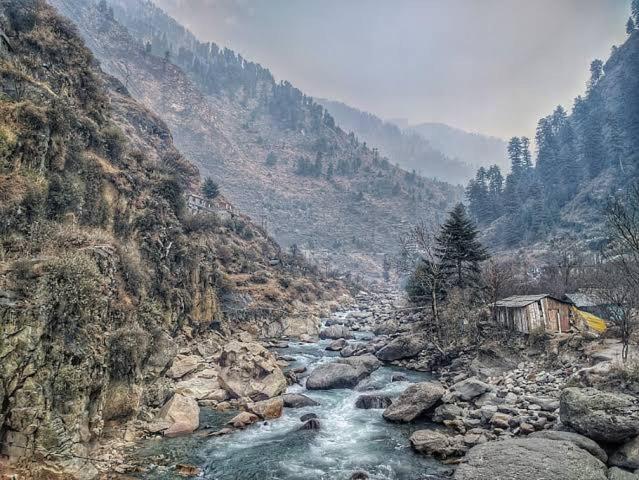 The Nature Dreams I Vacations I Conference I Mice I Family Events I Open Air Terrace I Sky Bonfire I Kufri By Exotic Stays Shimla Eksteriør bilde
