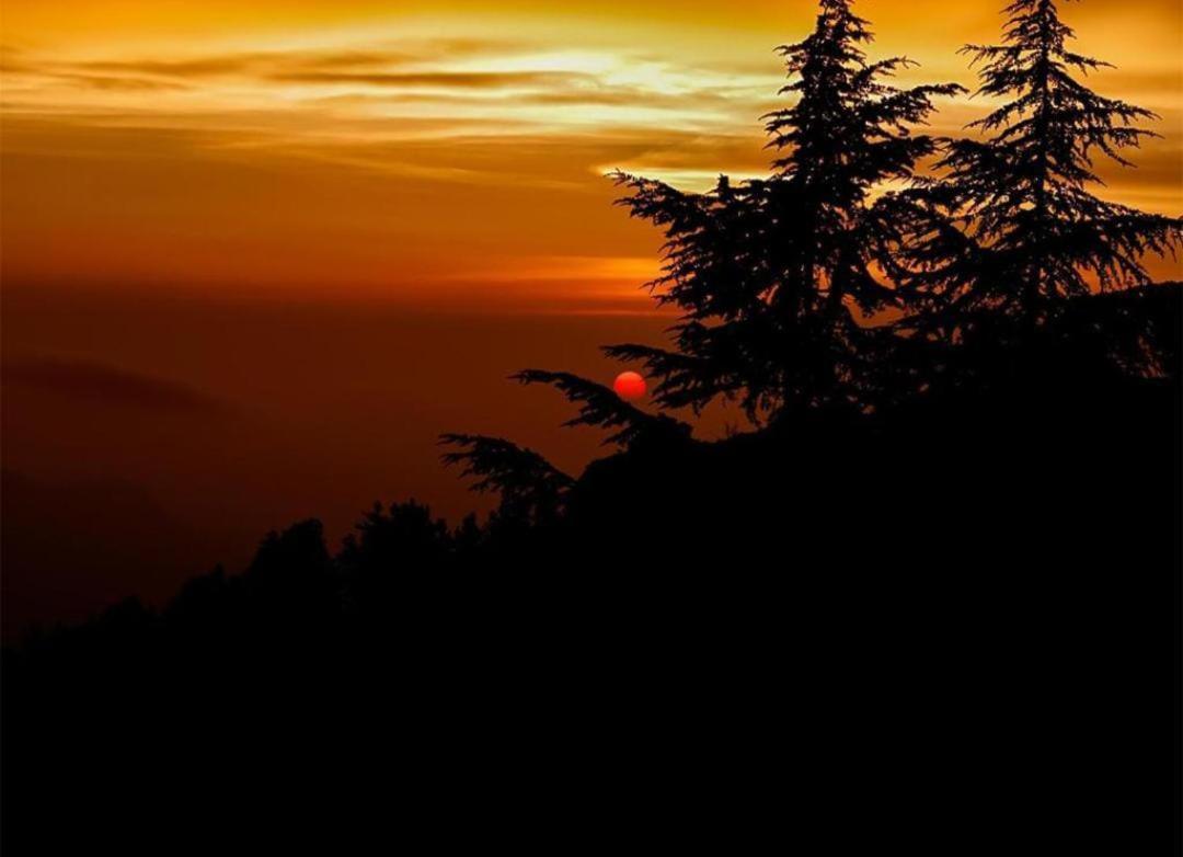 The Nature Dreams I Vacations I Conference I Mice I Family Events I Open Air Terrace I Sky Bonfire I Kufri By Exotic Stays Shimla Eksteriør bilde